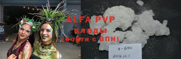 СК Иннополис
