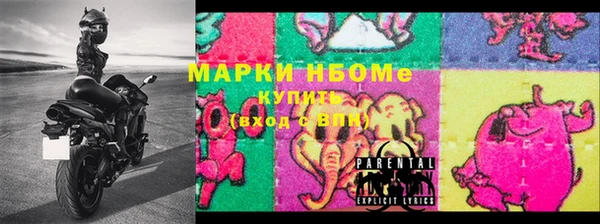 эйфоретик Инта