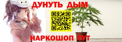 прущие крисы Будённовск