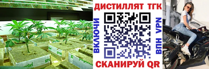 купить наркоту Солнечногорск Дистиллят ТГК THC oil