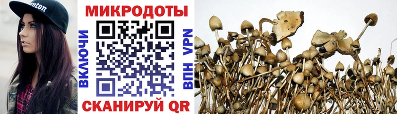 hydra зеркало купить Солнечногорск Псилоцибиновые грибы Psilocybine cubensis