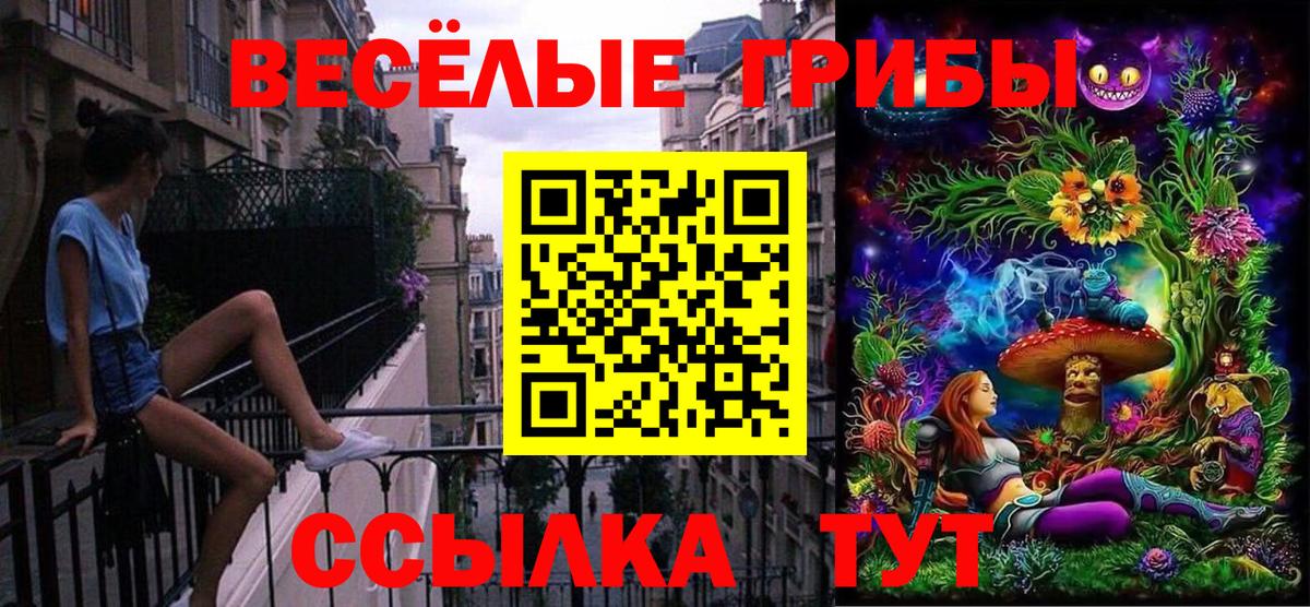 Солнечногорск  Галлюциногенные грибы ЛСД  Вход с VPN 