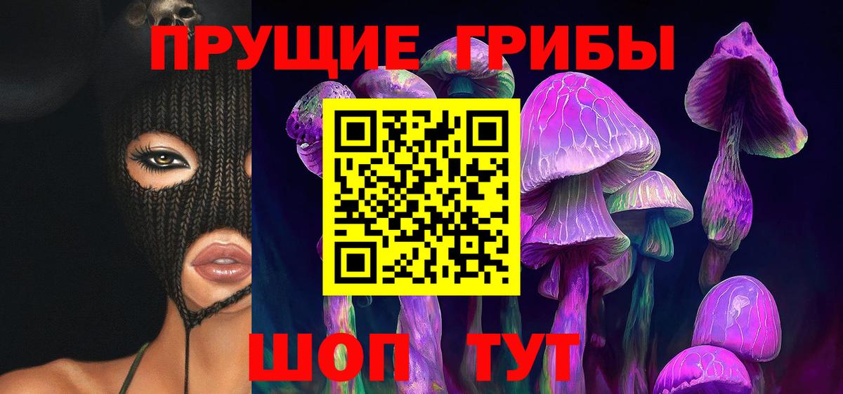 Галлюциногенные грибы Psilocybine cubensis Солнечногорск